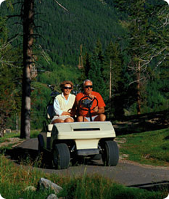 Couple in a Golf Cart - Custom Golf Cart Painting Cumming GA