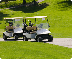 A Couple of Golf Carts - Golf Cart Repair Cumming GA